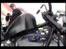 Born To Ride 661